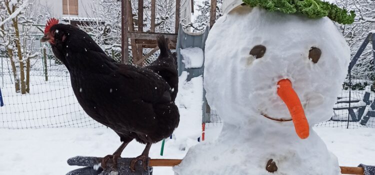 Schneemann im Fernunterricht